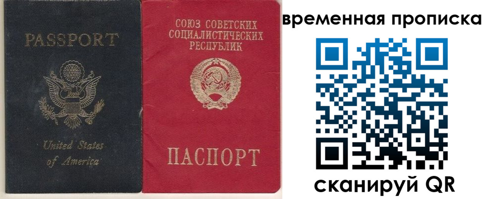 прописка для школы в Озёрах